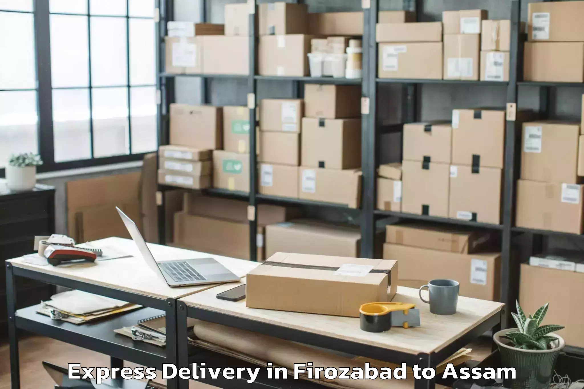 Professional Firozabad to Salonibari Airport Tez Express Delivery